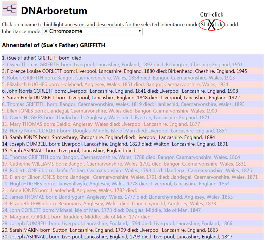 DNArboretum: X-chromosome Mode