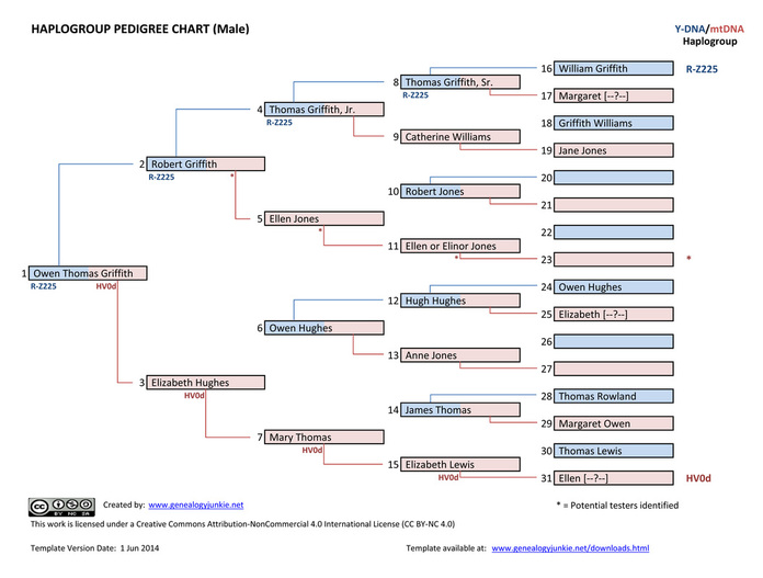Haplogroup Pedigree Chart for Owen Thomas Griffith