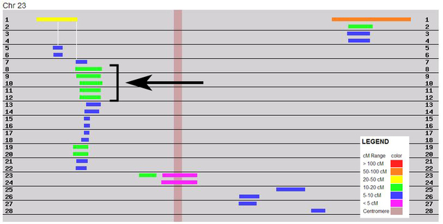 Segment triangulation using GEDmatch Chromosome Browser