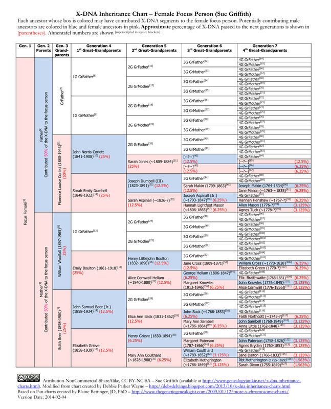 X-DNA Inheritance Chart (Sue Griffith)