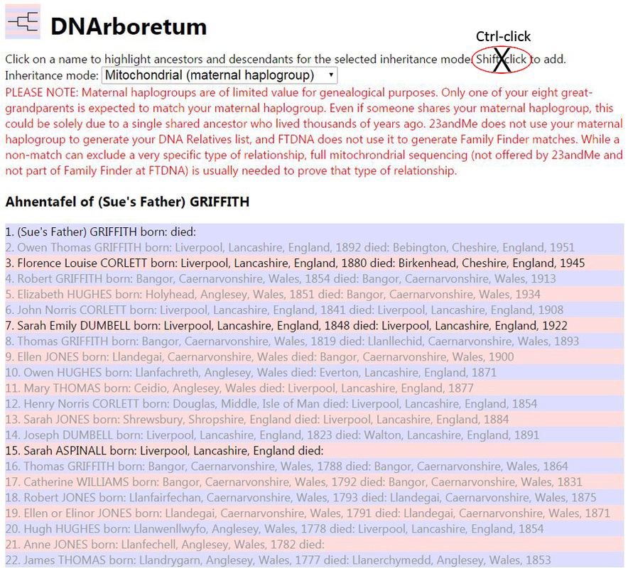 DNArboretum mtDNA Mode